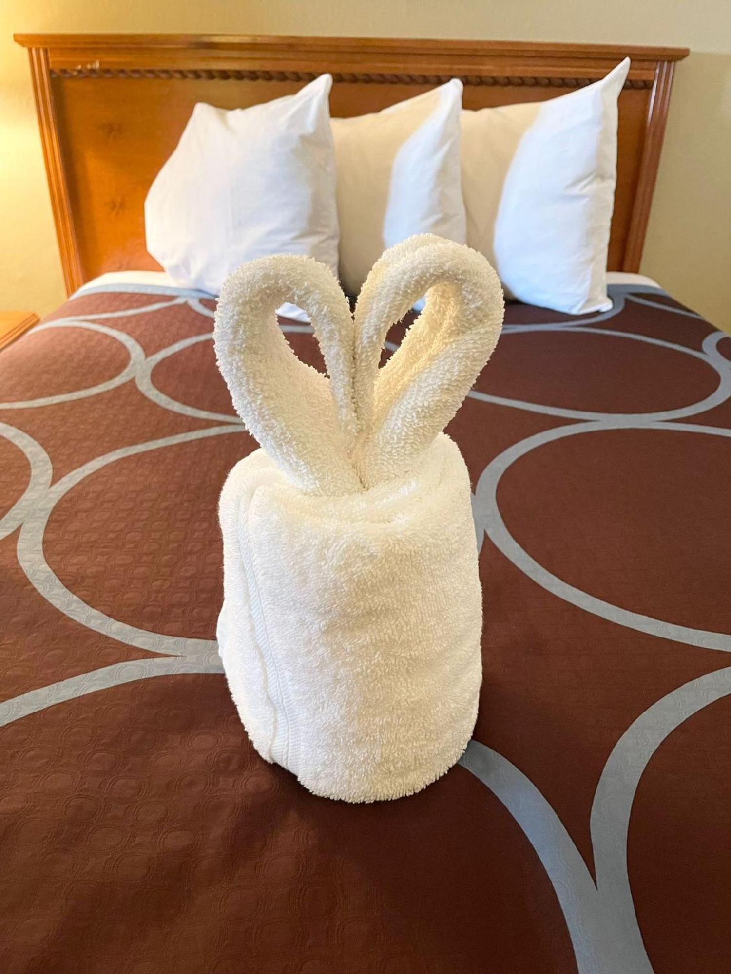ซูเปอร์ 8 บาย วินด์แฮม วิลลิสตัน นอร์ทดาโคตา Hotel ภายนอก รูปภาพ